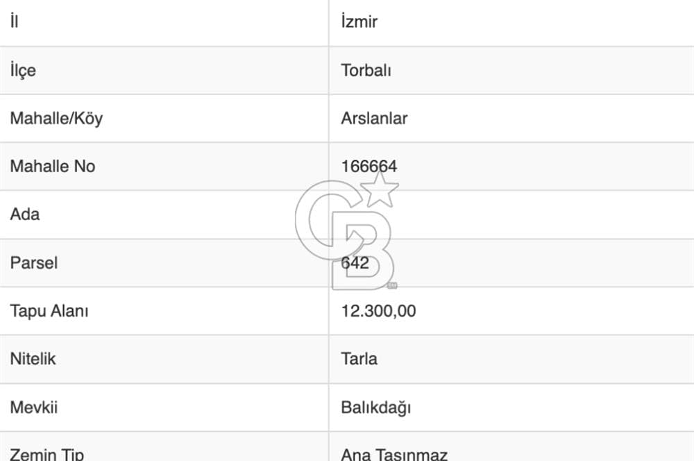 Torbalı Arslanlar 37 dönüm farmland — Odabaşı Realestate, İzmir